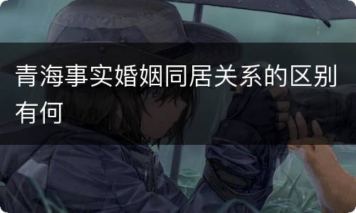 青海事实婚姻同居关系的区别有何