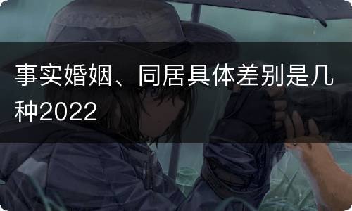 事实婚姻、同居具体差别是几种2022