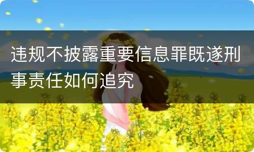 违规不披露重要信息罪既遂刑事责任如何追究