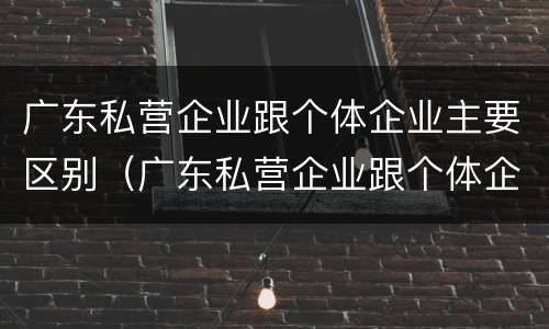广东私营企业跟个体企业主要区别（广东私营企业跟个体企业主要区别在哪）