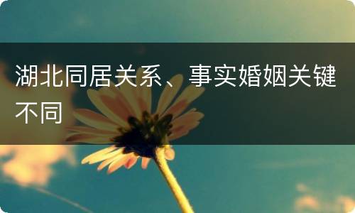 湖北同居关系、事实婚姻关键不同
