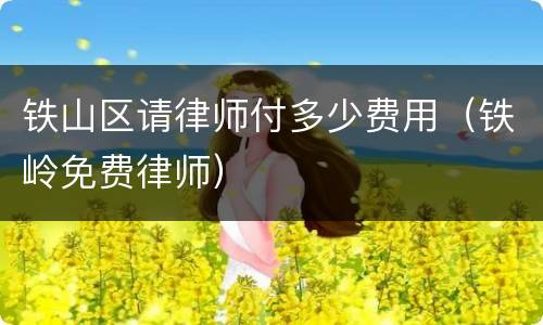 铁山区请律师付多少费用（铁岭免费律师）