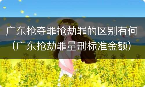 广东抢夺罪抢劫罪的区别有何（广东抢劫罪量刑标准金额）