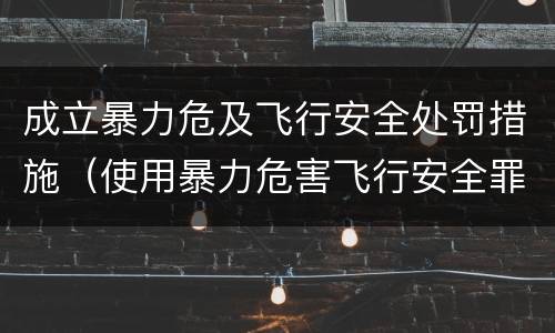 成立暴力危及飞行安全处罚措施（使用暴力危害飞行安全罪）