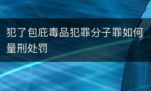 犯了包庇毒品犯罪分子罪如何量刑处罚