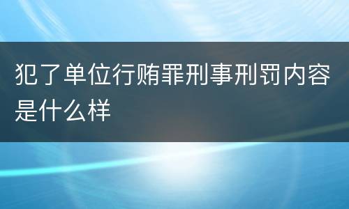 犯了单位行贿罪刑事刑罚内容是什么样