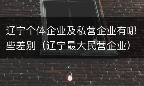 辽宁个体企业及私营企业有哪些差别（辽宁最大民营企业）