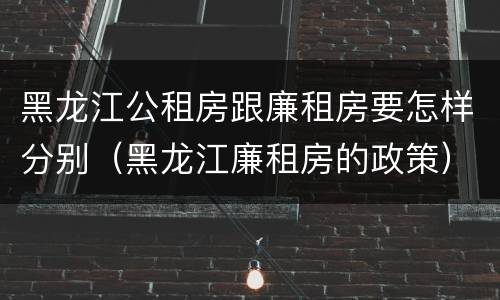 黑龙江公租房跟廉租房要怎样分别（黑龙江廉租房的政策）