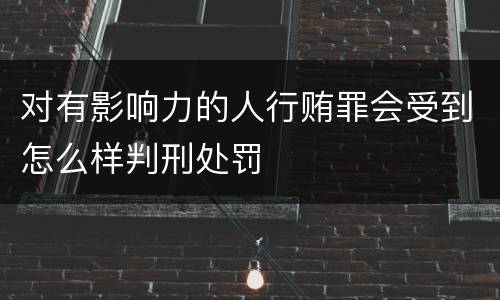 对有影响力的人行贿罪会受到怎么样判刑处罚