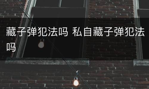 藏子弹犯法吗 私自藏子弹犯法吗