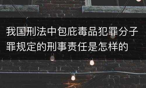 我国刑法中包庇毒品犯罪分子罪规定的刑事责任是怎样的