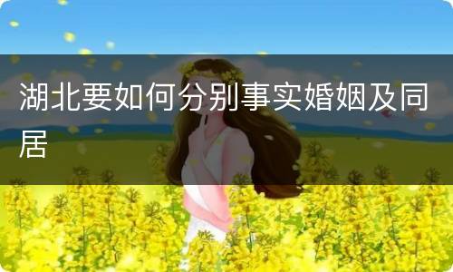 湖北要如何分别事实婚姻及同居