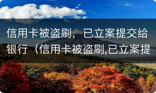 信用卡被盗刷，已立案提交给银行（信用卡被盗刷,已立案提交给银行了）