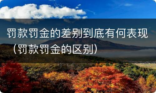 罚款罚金的差别到底有何表现（罚款罚金的区别）