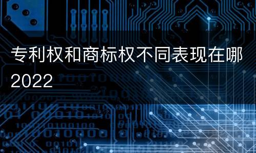 专利权和商标权不同表现在哪2022