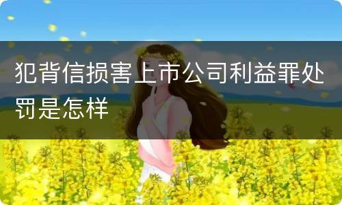 犯背信损害上市公司利益罪处罚是怎样