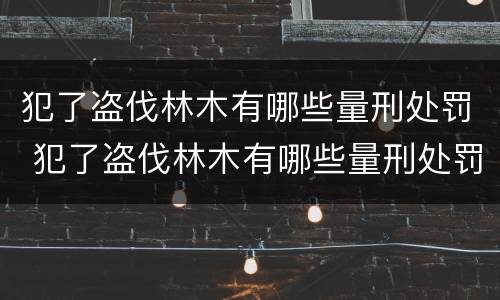 犯了盗伐林木有哪些量刑处罚 犯了盗伐林木有哪些量刑处罚标准