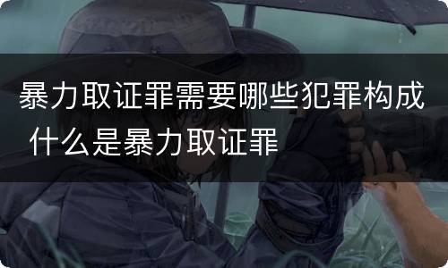 暴力取证罪需要哪些犯罪构成 什么是暴力取证罪