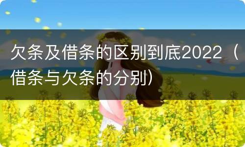 欠条及借条的区别到底2022（借条与欠条的分别）