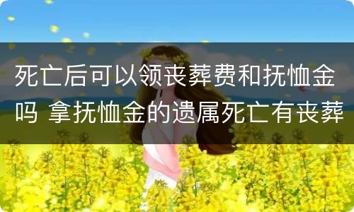 死亡后可以领丧葬费和抚恤金吗 拿抚恤金的遗属死亡有丧葬费吗?