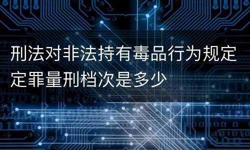 刑法对非法持有毒品行为规定定罪量刑档次是多少