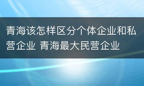 青海该怎样区分个体企业和私营企业 青海最大民营企业