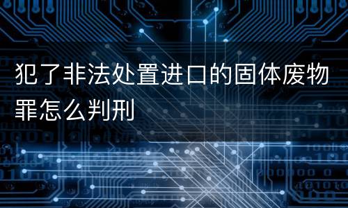 犯了非法处置进口的固体废物罪怎么判刑