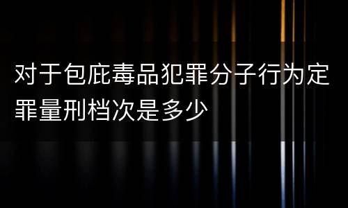 对于包庇毒品犯罪分子行为定罪量刑档次是多少