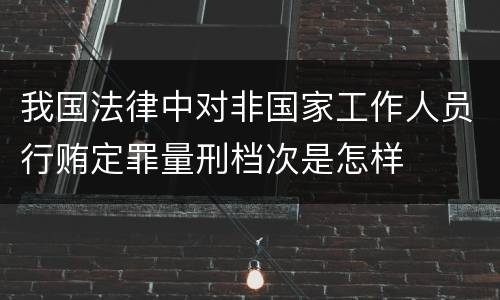我国法律中对非国家工作人员行贿定罪量刑档次是怎样