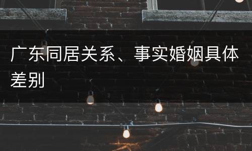 广东同居关系、事实婚姻具体差别