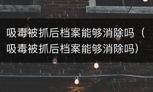 吸毒被抓后档案能够消除吗（吸毒被抓后档案能够消除吗）