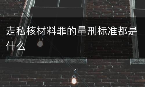 走私核材料罪的量刑标准都是什么