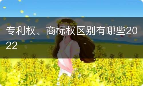专利权、商标权区别有哪些2022