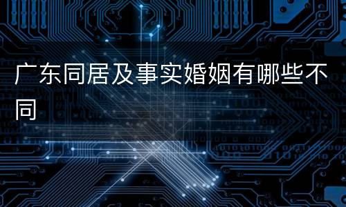 广东同居及事实婚姻有哪些不同