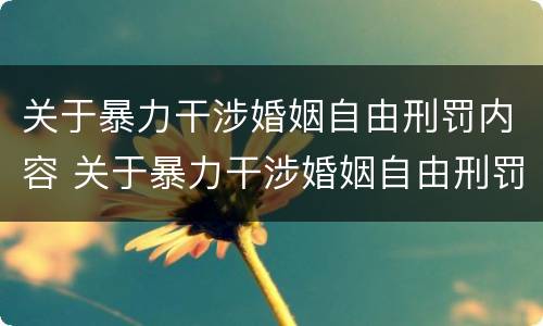 关于暴力干涉婚姻自由刑罚内容 关于暴力干涉婚姻自由刑罚内容是什么
