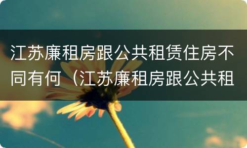 江苏廉租房跟公共租赁住房不同有何（江苏廉租房跟公共租赁住房不同有何影响）