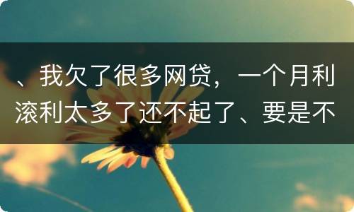 、我欠了很多网贷，一个月利滚利太多了还不起了、要是不还会有什么后果