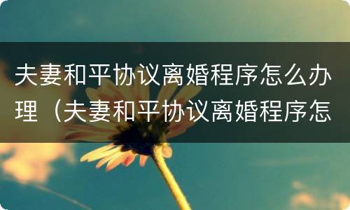 夫妻和平协议离婚程序怎么办理（夫妻和平协议离婚程序怎么办理离婚证）