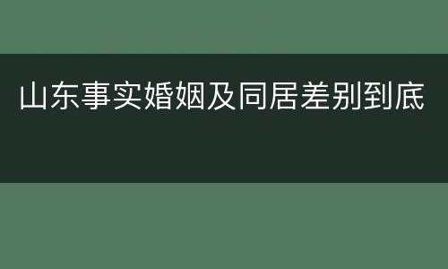 山东事实婚姻及同居差别到底