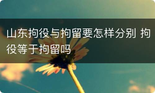 山东拘役与拘留要怎样分别 拘役等于拘留吗