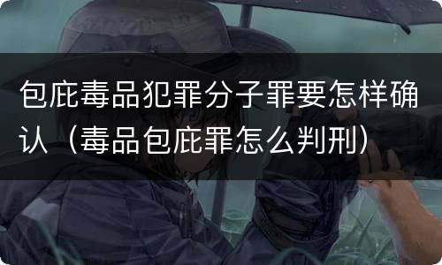 包庇毒品犯罪分子罪要怎样确认（毒品包庇罪怎么判刑）