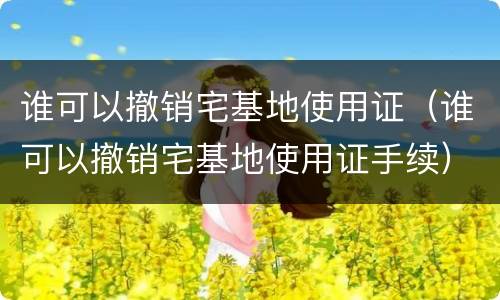谁可以撤销宅基地使用证（谁可以撤销宅基地使用证手续）