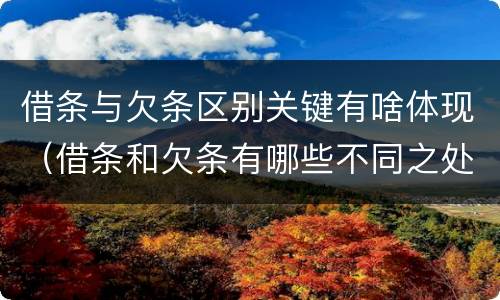 借条与欠条区别关键有啥体现（借条和欠条有哪些不同之处）