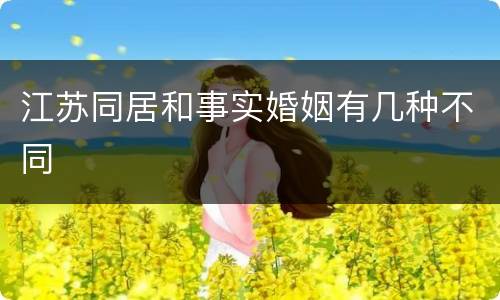 江苏同居和事实婚姻有几种不同