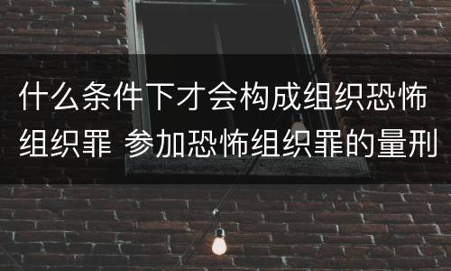 什么条件下才会构成组织恐怖组织罪 参加恐怖组织罪的量刑