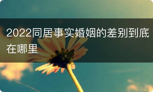 2022同居事实婚姻的差别到底在哪里