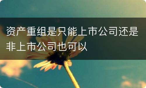 资产重组是只能上市公司还是非上市公司也可以