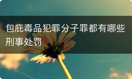 包庇毒品犯罪分子罪都有哪些刑事处罚