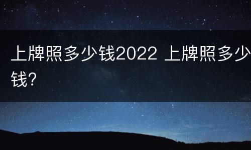 上牌照多少钱2022 上牌照多少钱?