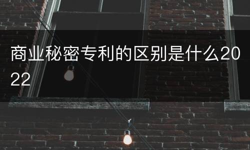 商业秘密专利的区别是什么2022